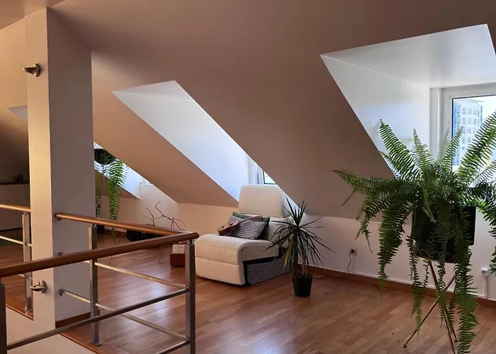 M&m - Estudio Ponta Delgada