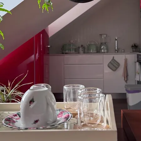 M&m - Estudio * Ponta Delgada