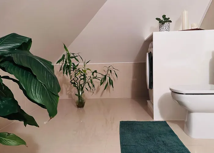 Apartment M&m - Estudio Ponta Delgada