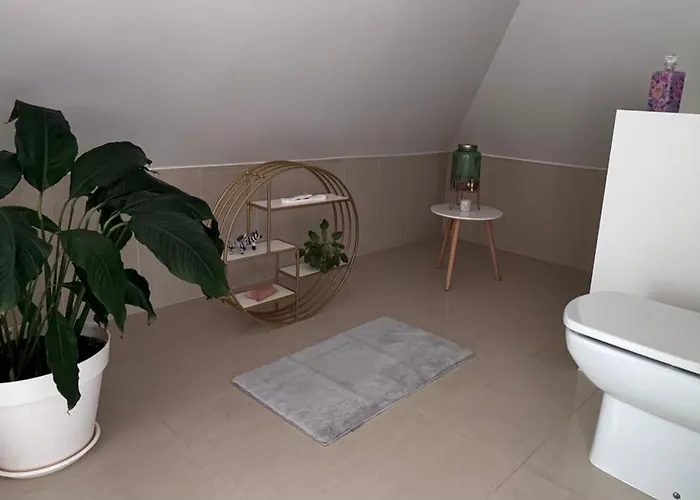 M&m - Estudio 蓬塔德尔加达